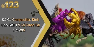 Đá Gà Campuchia: Đỉnh Cao Giải Trí Cá Cược Tại 123WIN