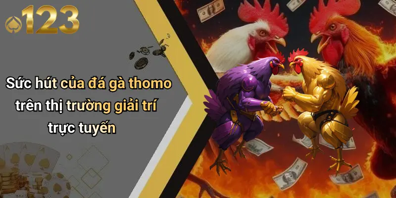 Sức hút của đá gà thomo trên thị trường giải trí trực tuyến