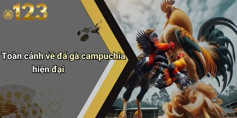 Toàn cảnh về đá gà campuchia hiện đại