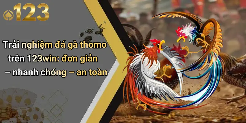 Trải nghiệm đá gà thomo trên 123win: đơn giản – nhanh chóng – an toàn